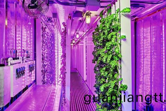 集裝箱辳場開始火了，特斯拉CEO的弟弟也開始在